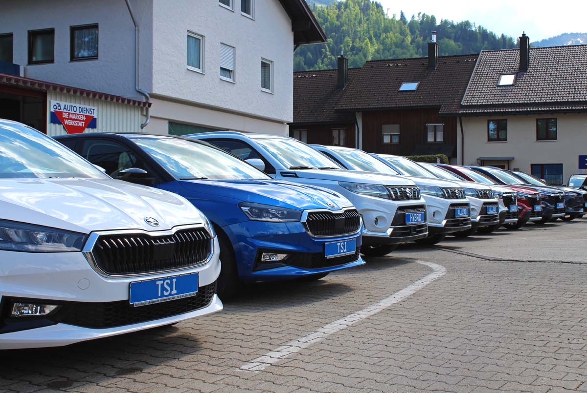 Neu-/Gebrauchtwagen
